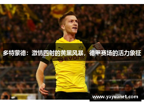 多特蒙德：激情四射的黄黑风暴，德甲赛场的活力象征